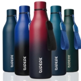BJPKPK Insulated Water Bottles, 25oz/739ml Stainless Steel Metal Water Bottle with Strap, BPA Free Leak Proof