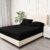 BQC Black Fitted Sheet Double Size 135 x 200 cm – Deep Pocket 12 Inch (30cm) – Soft Easy Care Brushed Microfiber Plain Bed Sheet – Hotel Quality Shrinkage and Fade Resistant Bedding