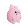 BT21 Pong Pong Plush – Baby Cooky