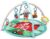 Baby Einstein Farm Explorers Happy Harvest Touch & Feel Activity Gym / Baby Einstein Farm Grow With Me Playmat and Gym £20 – Free C&C
