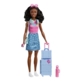 Barbie Family & Friends Limitless Adventure Brooklyn Brunette Doll
