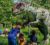 Bents Garden & Home Dino Trail – Family Pass – Warrington