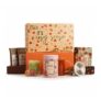Bird and Blend Cozy Tea Gift Set with 149 Servings