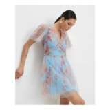 Blue Tulle Short Sleeve Mini Dress