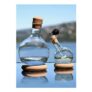 Bodum Vodka & Dry Martini Set