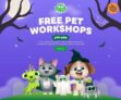 Book a Free Kids Pets Workshop this October School Holiday