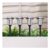 Bright White Glow – 4-Pack