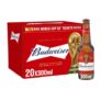 Budweiser Beer, 20 X 300ml