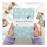Bump to Birthday, a Pregnancy and First Year Journal