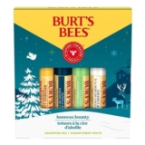 Burts Bees Beeswax Bounty Lip Balm Gift Set