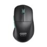 CHERRY Wireless Optical Gaming Mouse