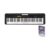 Casio Beginners Keyboard & Rhythm Warriors Lessons Package