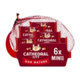 Cathedral City Minis Mature Cheddar Cheese 6X20G