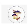 Ceramic Mushroom Plate