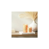 Chesapeake Bay Large Candle – Grapefruit Mango