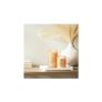 Chesapeake Bay Large Candle – Grapefruit Mango