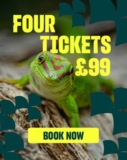 Chester Zoo – 4 tickets £99
