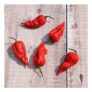 Chilli Seeds Trinidad Scorpion