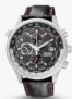 Citizen Mens Chronograph Red Arrows Black Leather Strap Watch(Free Boss Matrix Pen) With Code