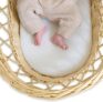 Clair de Lune Moses Basket Fibre Mattress, Hypo-Allergenic Baby Bassinet Mattresses (Wicker Basket 65 x 28 cm)