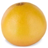 Class 1 Red Grapefruit