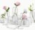 Clear Glass Bud Vase Set, Vases, Vase Flowers Glass Small Flower Vases 14x6cm, Modern Minimalist Glass Vases for Flowers, Pampas, Tulips, Home Table Wedding Decor (12-PCS)