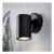 Coast Neso Outdoor Black Downlight