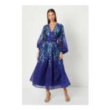 Coast Organza Floral Placement Lace Trim Midaxi Dress