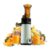 Cold Press Professional Juicer Machine , Slow Masticating