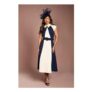 Colour Block Panelled Midi Dress