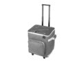 Cool Bag Shopping Trolley