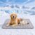 Cooling Mat for Dogs, Pet Cooling Mat for Dogs Pet Cool Bed Mats, Washable Pets Bed Mats Dog and Cats, Non-Slip Cool Blanket Indoor Outdoor Use, Ideal Couches, Crates & Car Seats
