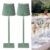 Cordless Rechargeable LED Table Lamp Green Vela TL02
