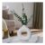 Cream OHS Artificial Eucalyptus with Ceramic Vase for Home Decor