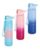 Crofton Ombre 1L Water Bottle