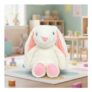 Cute Plush Musical Bunny Soft Toy with Long Ears