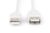 DIGITUS 1.8m Length USB 2.0 A Male – A Female Extension Cable – Beige