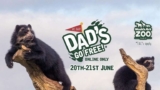 Dads go free this fathers day weekend – Noahs Ark Zoo Farm