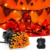 Dalugo Halloween Decoration Lights, 3M 30 LED – Orange or Orange/Purple – Sold by Dalugo FBA