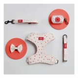 Dog / Pet Harness, Lead, Collar Set – Size Small – White/Red – 5 Pieces