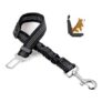 Dog Seat Belts for Cars
