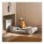 Doggy Daycare Pet Bed