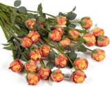 DuHouse 24pcs Artificial Silk Roses with Long Stems Vintage Style Fake Rose Flowers for DIY Bouquets, Wedding Centrepieces, Party or Home Decoration(Burnt Orange)