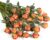 DuHouse 24pcs Artificial Silk Roses with Long Stems Vintage Style Fake Rose Flowers for DIY Bouquets, Wedding Centrepieces, Party or Home Decoration(Burnt Orange)
