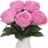 DuHouse 5 Pcs Real Touch Artificial Roses, Silk Fake Rose Flowers Bouquet for Home Wedding Table Decorations, Faux Roses for Vase Display, Valentines Day, Party, DIY Crafts(Pink)