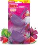 Duck Colouring Toilet Rim Block Duo, Watermelon Whirlwind, Foaming Toilet Bowl Cleaner, Long-lasting Fragrance, 36g x 2
