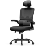 EXCLUSIVEErgonomic (Home) Office Chair with Lumbar Support w/code Bigzzia Outdoor Furniture Store