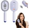 Electric Spray Air Cushion Massage Comb, 3 in 1 Electric Steam Brush