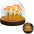 Embhlitfe Tulip Flower Lamp, 20 Blooms Tulip Night Light, rtificial Flower Lamp with Glass Dome & Wood Base, Cute Room Decor, Gift for Women, Mom, Girlfriend (Pink)