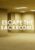 Escape the Backrooms (PC / Steam Key)